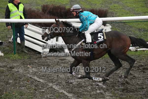ET0Q0792 prot