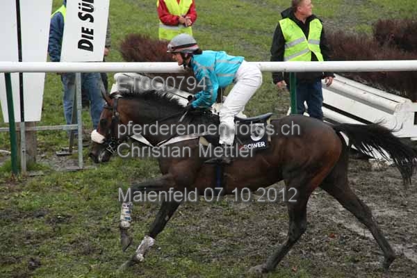 ET0Q0794 prot