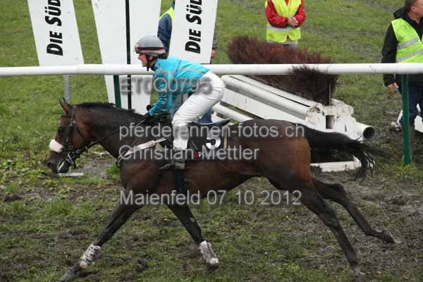ET0Q0795 prot