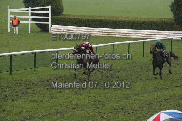 ET0Q0797 prot
