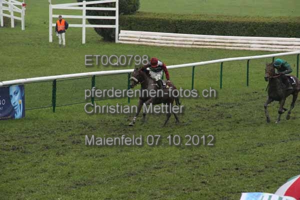 ET0Q0798 prot