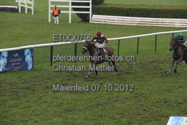 ET0Q0799 prot