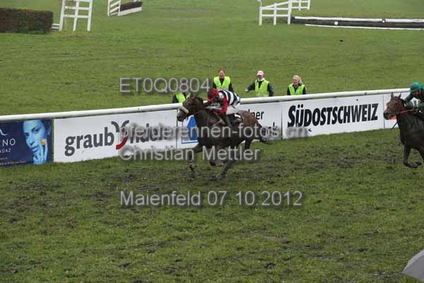 ET0Q0804 prot