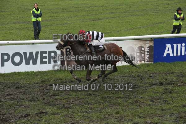 ET0Q0810 prot