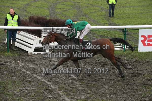 ET0Q0814 prot