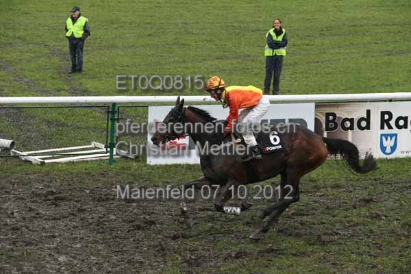ET0Q0815 prot