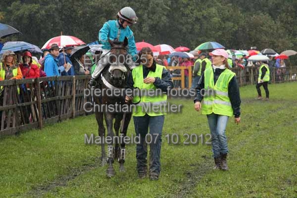 ET0Q0825 prot