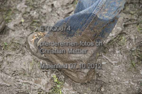 ET0Q0874 prot