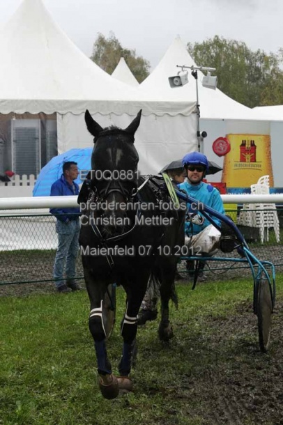 ET0Q0881 prot