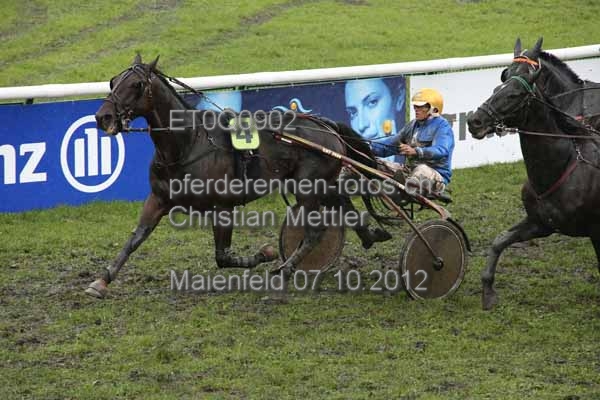 ET0Q0902 prot