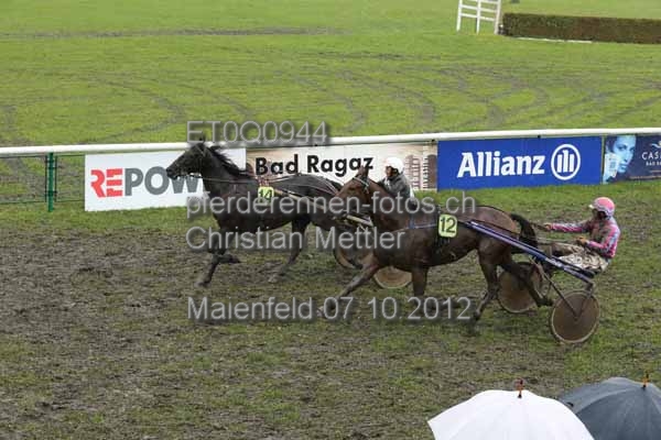 ET0Q0944 prot