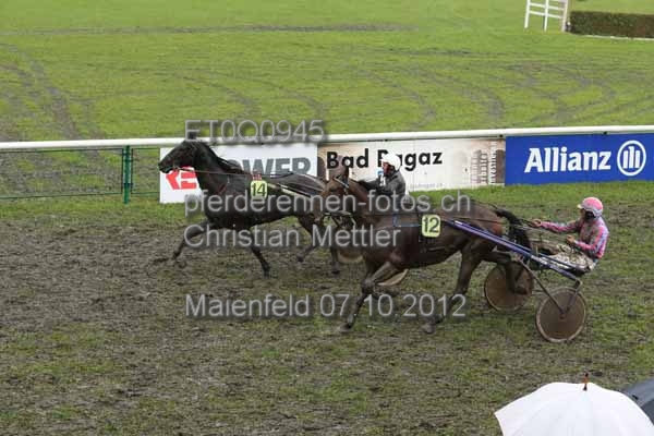 ET0Q0945 prot