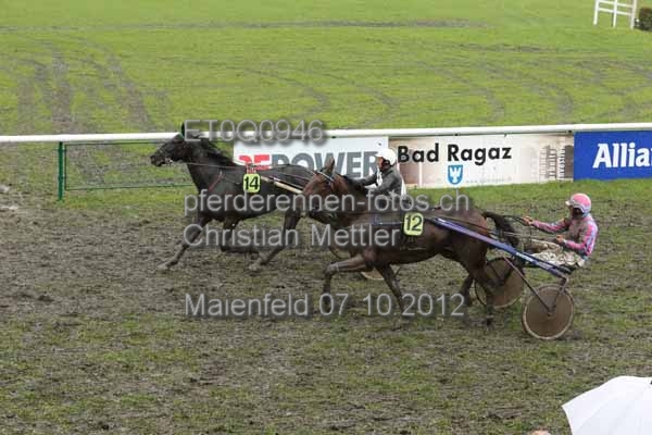 ET0Q0946 prot