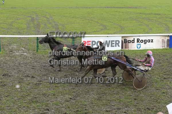ET0Q0947 prot