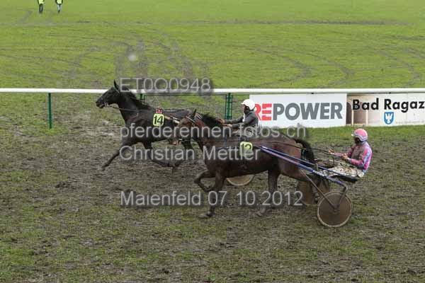 ET0Q0948 prot