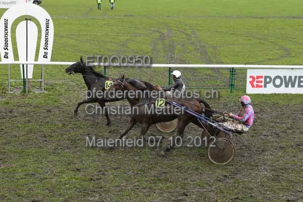 ET0Q0950 prot