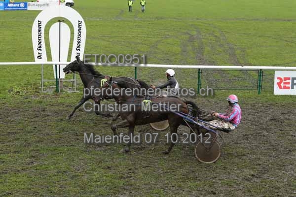 ET0Q0951 prot