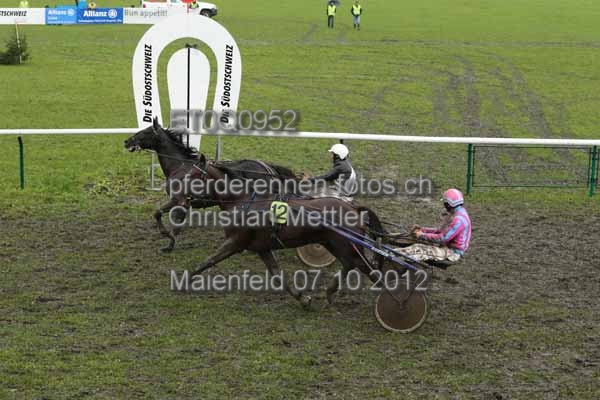 ET0Q0952 prot
