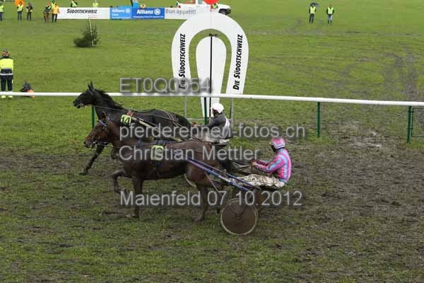 ET0Q0954 prot
