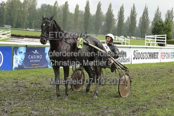 ET0Q0975 prot