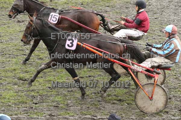 ET0Q1150 prot
