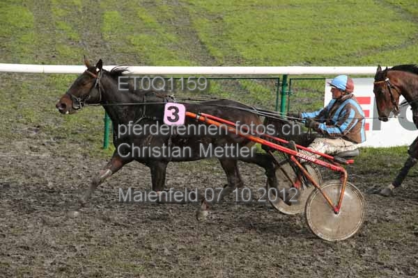 ET0Q1159 prot