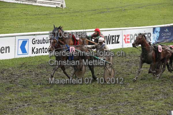 ET0Q1183 prot