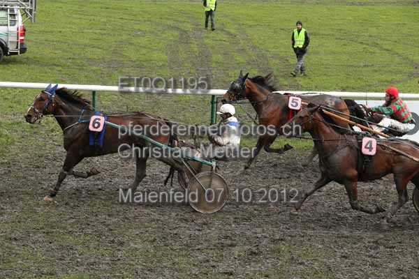 ET0Q1195 prot