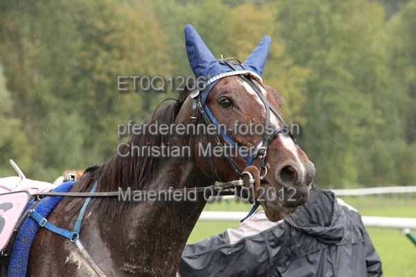ET0Q1206 prot