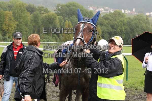 ET0Q1223 prot