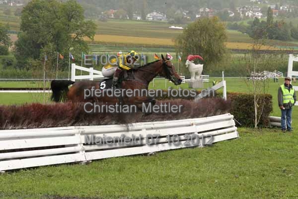ET0Q1321 prot