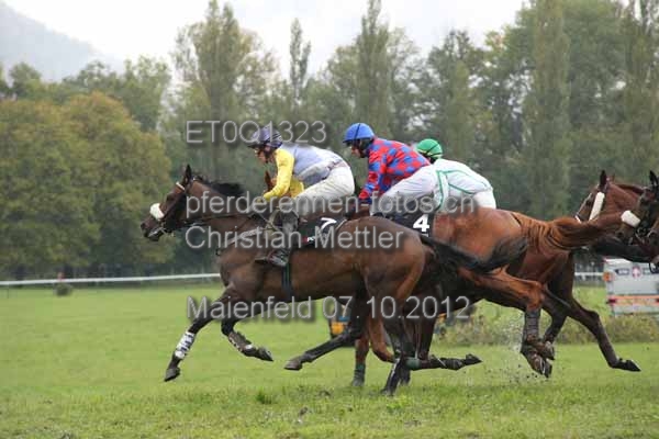 ET0Q1323 prot