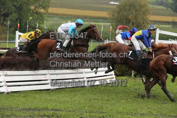 ET0Q1347 prot