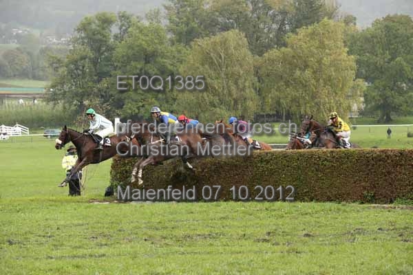 ET0Q1385 prot