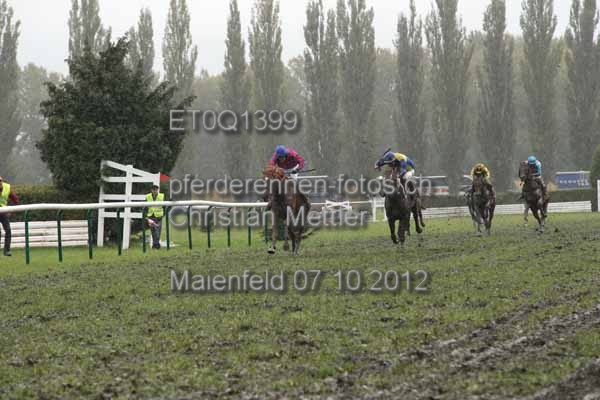 ET0Q1399 prot