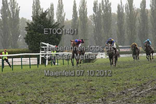 ET0Q1401 prot
