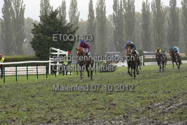 ET0Q1403 prot