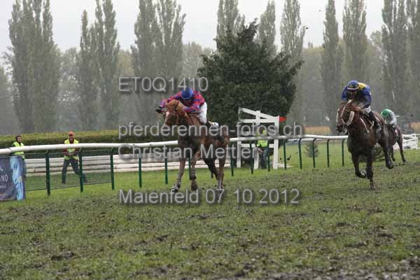ET0Q1410 prot