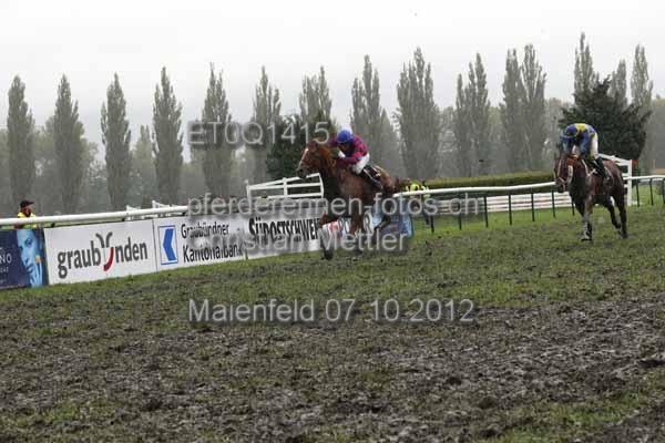 ET0Q1415 prot