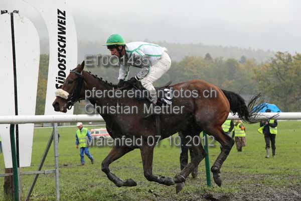 ET0Q1435 prot