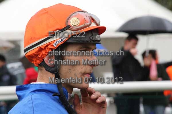 ET0Q1522 prot