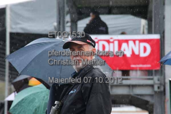 ET0Q1530 prot