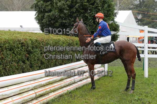 ET0Q1543 prot