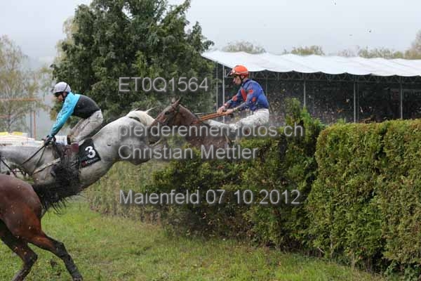 ET0Q1564 prot