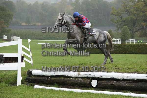 ET0Q1628 prot