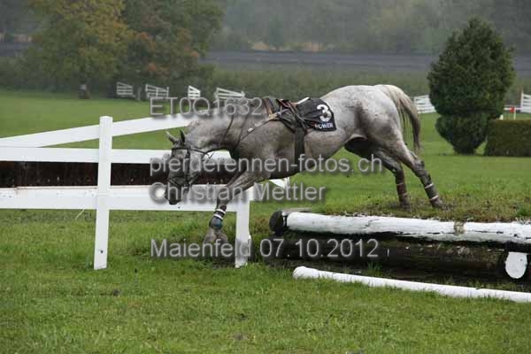 ET0Q1632 prot