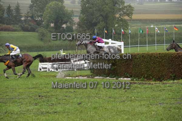 ET0Q1665 prot