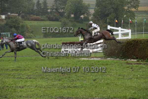ET0Q1672 prot