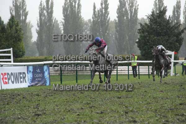 ET0Q1680 prot