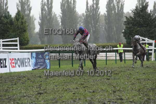 ET0Q1681 prot